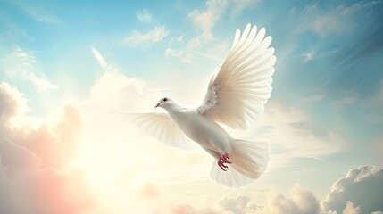 White dove flying in the sky to represent a heavenly aspirational goal - obrazy, fototapety, plakaty