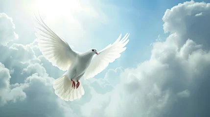 Fotobehang White dove flying in the sky to represent a heavenly aspirational goal © Brian
