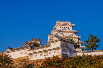 Fototapeta na wymiar Himeji Castle - Japan’s famous World Heritage
