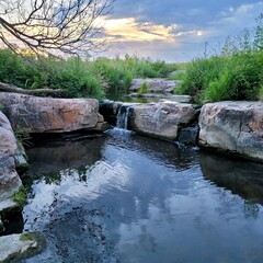 Prairie Pond