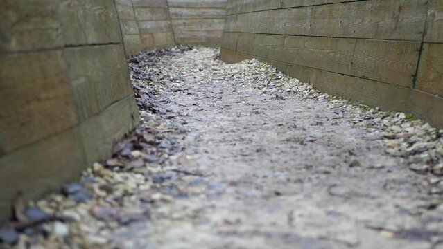  London trench trench warfare Douaumont Verdun 1916 ww1