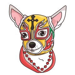 vector chihuahua dog with mexican wrestling mask on white background