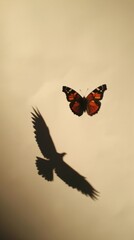 Shadow Play - Butterfly and Its Bird Shadow