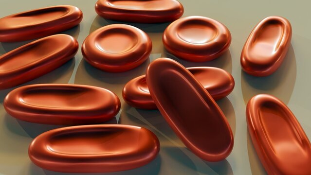 3d rendering of Elliptocytes, also known as ovalocytes or cigar cells, are abnormally shaped red blood cells that appear oval or elongated.