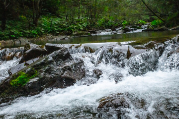 Naklejka premium mountain stream, river in the mountains, beautiful landscape 