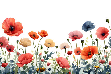 Multicolored poppies on white background, floral pattern, space for text greeting card for mother's day, women's day, wedding, holiday illustration.
