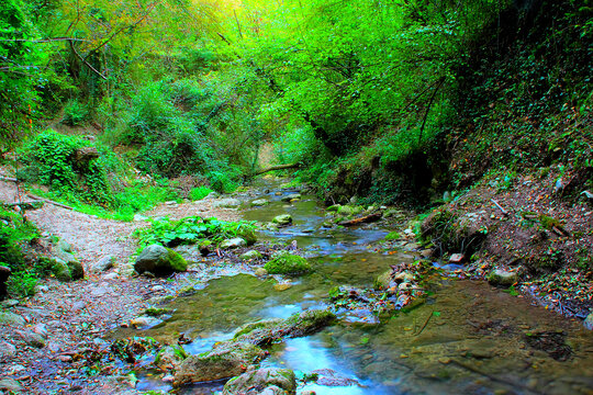 Crisp long-exposure view on the road to Cascata del Pellegrino in the Sibillini Mountains with a flat river in the midst of vivid greenery, its water washing different musky rocks, reaching a trunk