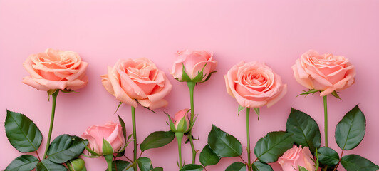 Obraz premium Spring roses flowers on pink pastel background top view in flat lay style, great for womens or mothers day or spring sale banner.