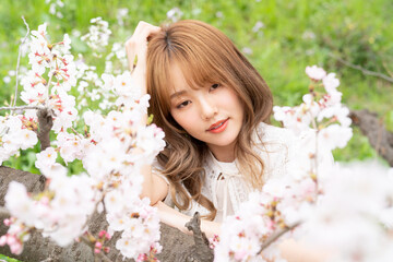 Fototapeta premium 美しい日本女性