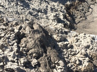 Salton Sea Mud Pots, Geothermal Activity in Southern California