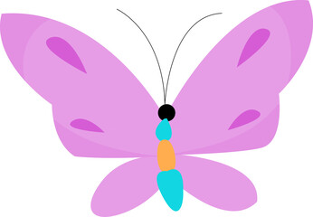 Butterfly Illustration