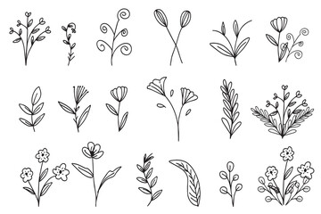 set of handrawn botanical leaf. Hand drawn line wedding herb, elegant wildflowers. Minimal line art drawing for print, 
