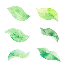 風に舞う緑の葉っぱ、素材