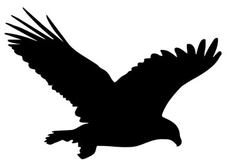 eagle silhouette vector
