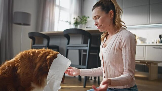 Girl looking disobedient dog chewing toilet paper at home close up. Pet guilty