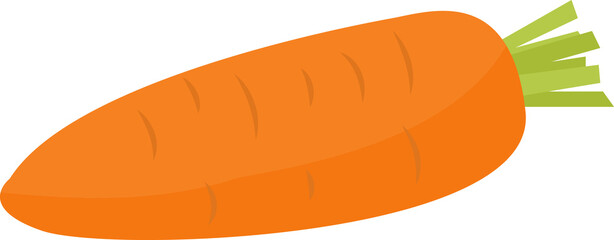 carrots illustration