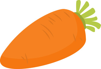 carrots illustration