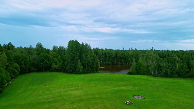 Aerial view of coniferous forest and lush green landscape adorning pond