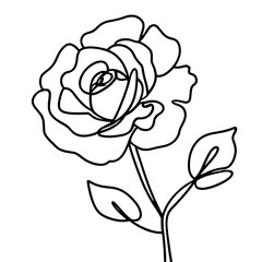 Beautiful flowersrose and tulip doodling lines png