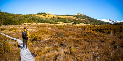 hiker girl walking on a bealey spur track in arthur's pass national park, canterbury, new zealand;...