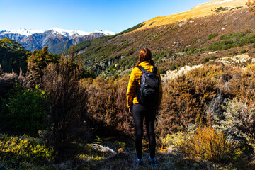 hiker girl walking on a bealey spur track in arthur's pass national park, canterbury, new zealand;...