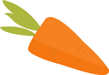 carrot  illustration