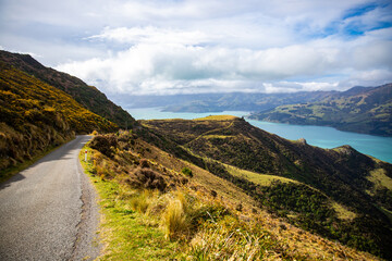 unique, idyllic landscape of banks peninsula near christchurch in canterbury, new zealand; grass...