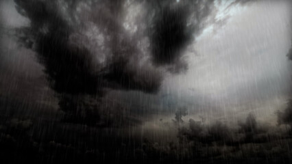 bark heavy beautiful storm clouds before the heavy rain - photo of nature - obrazy, fototapety, plakaty