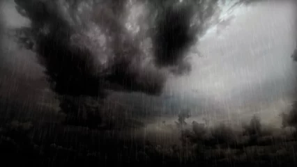 Deurstickers bark heavy beautiful storm clouds before the heavy rain - photo of nature © Dancing Man