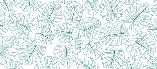 leaves of monstera plant. Ornamental plants in line art on a white background. Tropical plants that are popularly used as decorations for their beauty. - obrazy, fototapety, plakaty