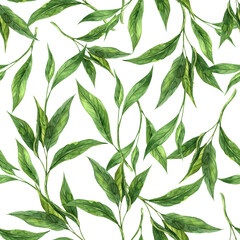 Watercolor pattern of fresh tea leaves on a transparent background. Hand drawn illustration on isolated background, suitable for menu design, packaging, poster, website, textile, invitation, ceramics.