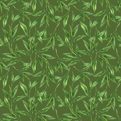 Watercolor pattern of fresh tea leaves on a green background. Hand drawn illustration on isolated background, suitable for menu design, packaging, poster, website, textile, invitation, ceramics