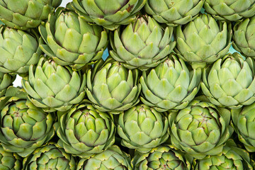Fototapeta premium artichoke, camus de Bretagne