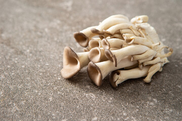 Fresh oyster mushrooms, food ingredients