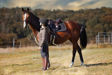 Horse stands with his rider on a meadow in the sun ready to ride out.