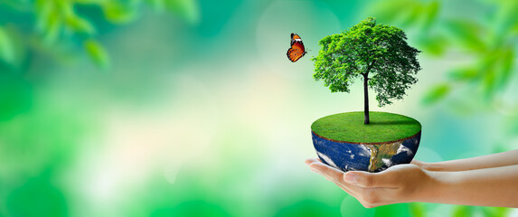 Growing tree on half globe in hand with butterfly. Green background with bokeh. World mental health...