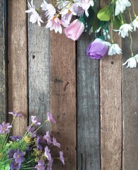 pink flowers on wooden background