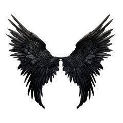 black wings isolated on white