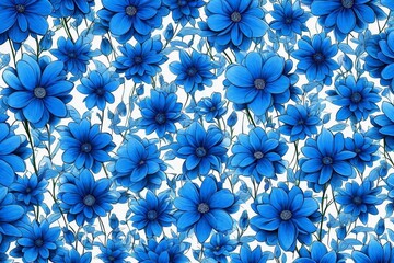 Blue chrysanthemum with white background