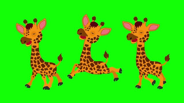 Three funny cartoon giraffe animation green background