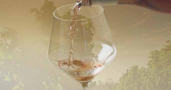 Composite of white wine being poured into glass over vineyard background