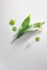 A pastel-toned light grey backdrop of fresh leaf, paper butterfly, a view of the top, a decorative podium with a flat line. An empty platform for display cosmetic products, food and props.