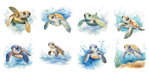 set of watercolor sea turtle in sea, Sticker, ornament, illustration,  PNG, generated ai