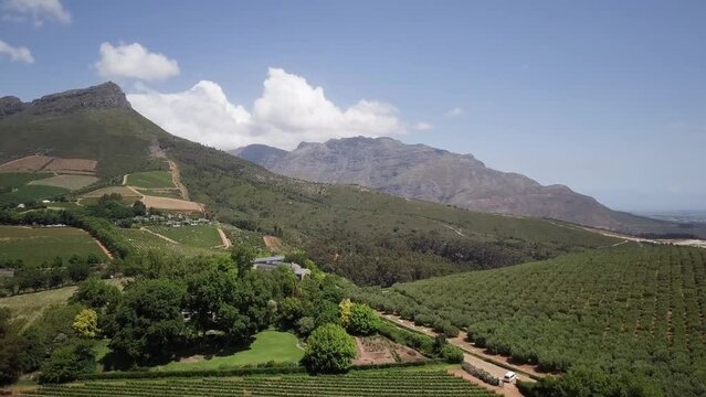 Constantia, Cape Town, South Africa - A Panoramic View of Vineyards Stretching Across the Agricultural Landscape of a Winery - Pan Up Shot