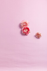 a beautiful spring flowers against a light pink paper background. top view. An empty space for display cosmetic products, food and props.
