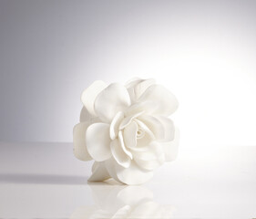 beautiful spring flowers placed on the white bottom. Gorgeous flowers. Isolated in white.