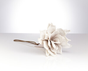 beautiful spring flowers placed on the white bottom. Gorgeous flowers. Isolated in white.