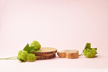 A wood circle podium against light pink background. With fresh green branch. An empty platform for...