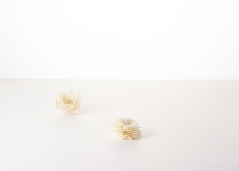 beautiful spring flowers placed on the white bottom. Gorgeous flowers. Isolated in white.