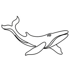 Obraz premium The animal under water doodling lines vector illustration